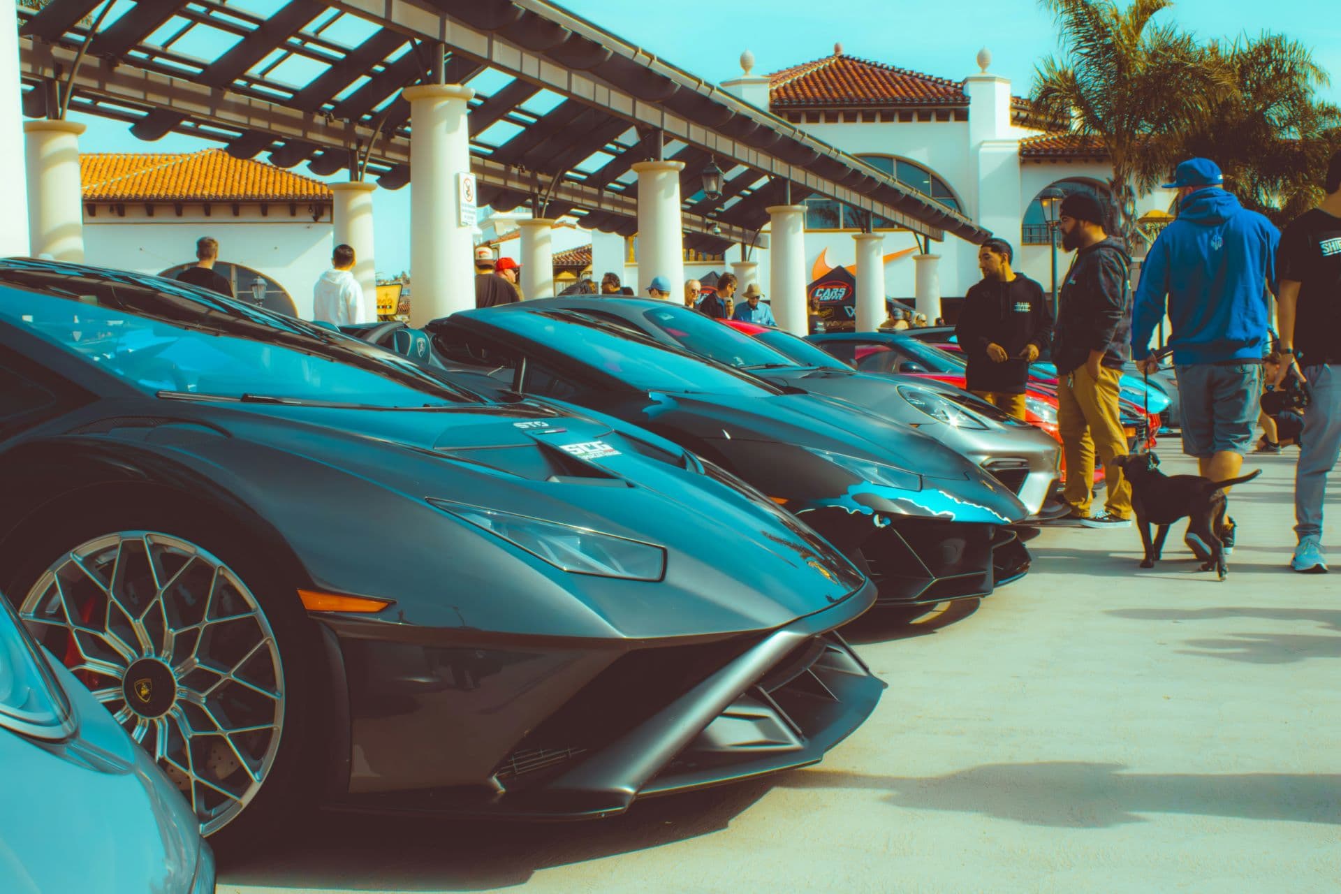 The Role of Cultural Trends in Car Marketing